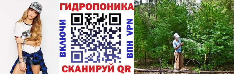 Конопля Bruce Banner  Купить где  Азов 